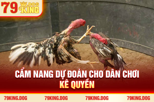 Cẩm nang dự đoán cho dân chơi kê quyền